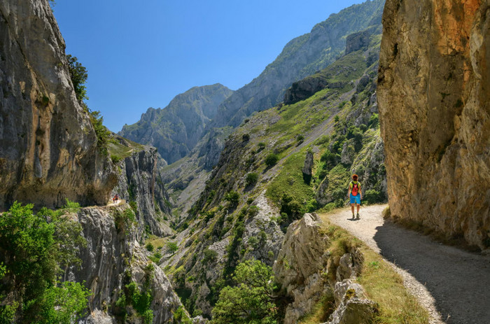 The Ruta del Cares gorge offers one of the best walks in the Picos de Europa. Photograph: Image Professionals/Alamy